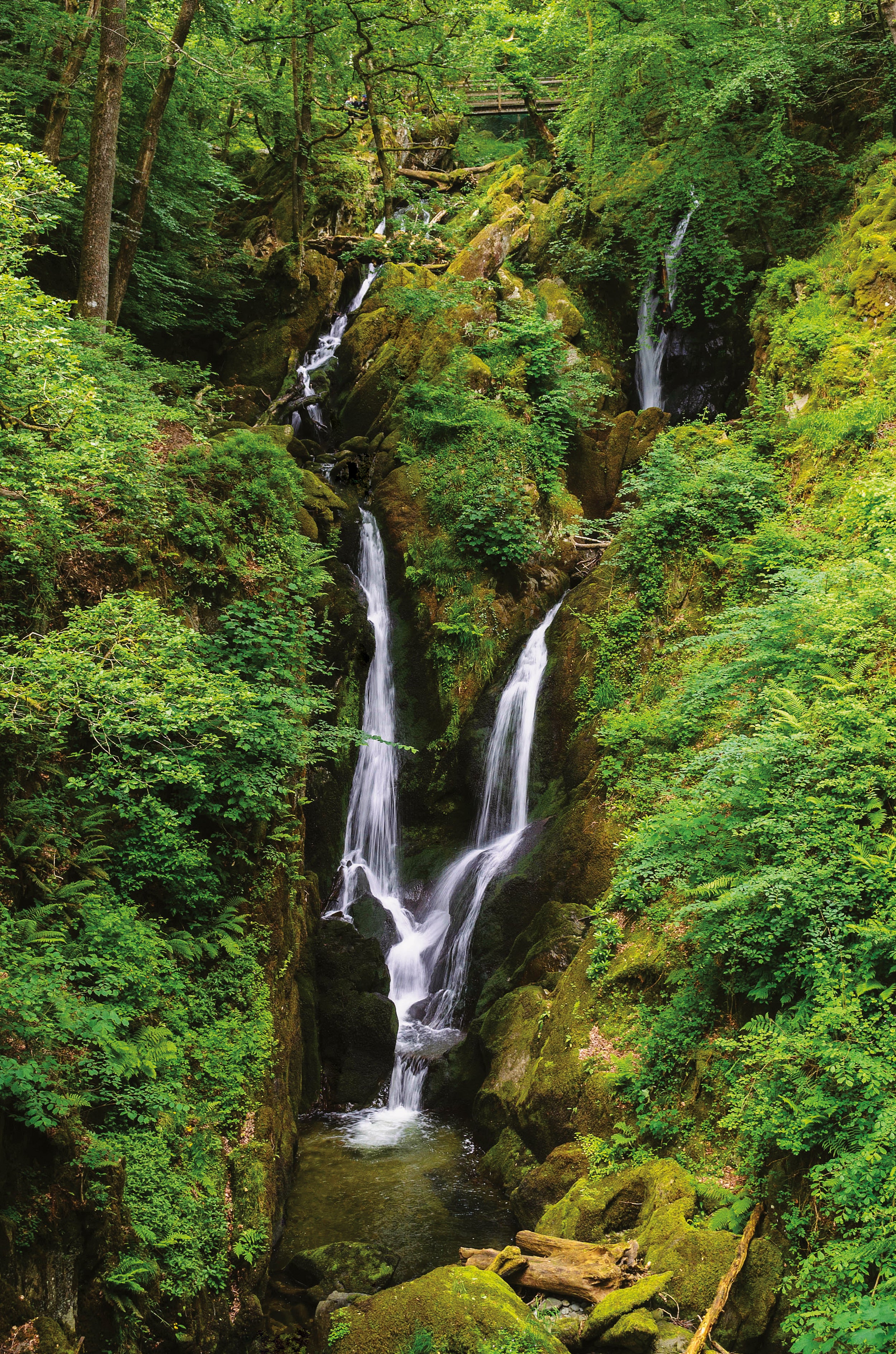 stock ghyll force waterfall in a lush green forest