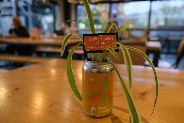 Plant in a can with a 'Crafty Spiders' sign on a wooden table in a blurred indoor setting